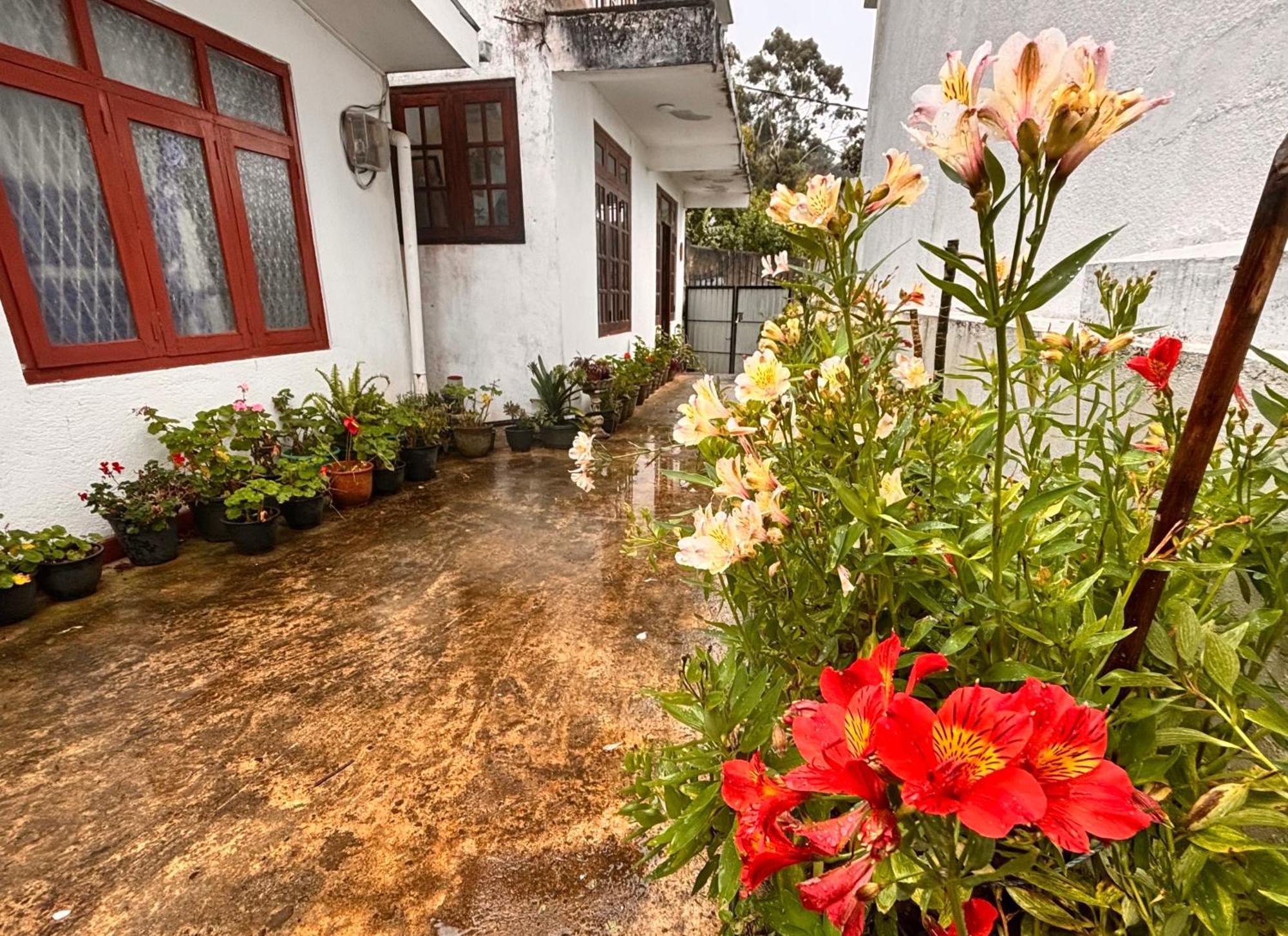 Shiny View Hotel Nuwara Eliya Exterior photo